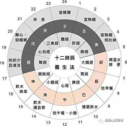 中医养生，睡眠的艺术与科学