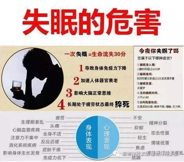 睡眠养生，全面解析中医视角下的睡眠健康