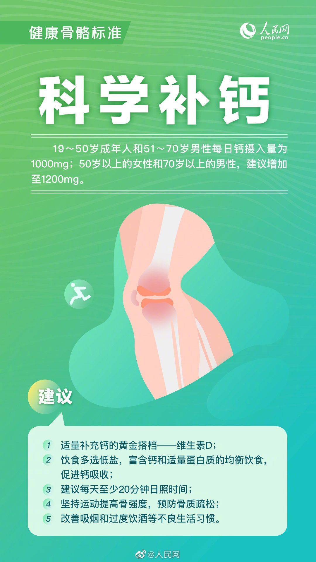 老年人养生指南，最新健康生活建议
