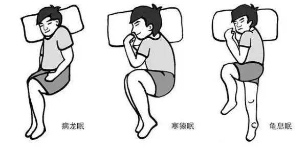 中医养生，侧卧姿势的益处与实践  第1张