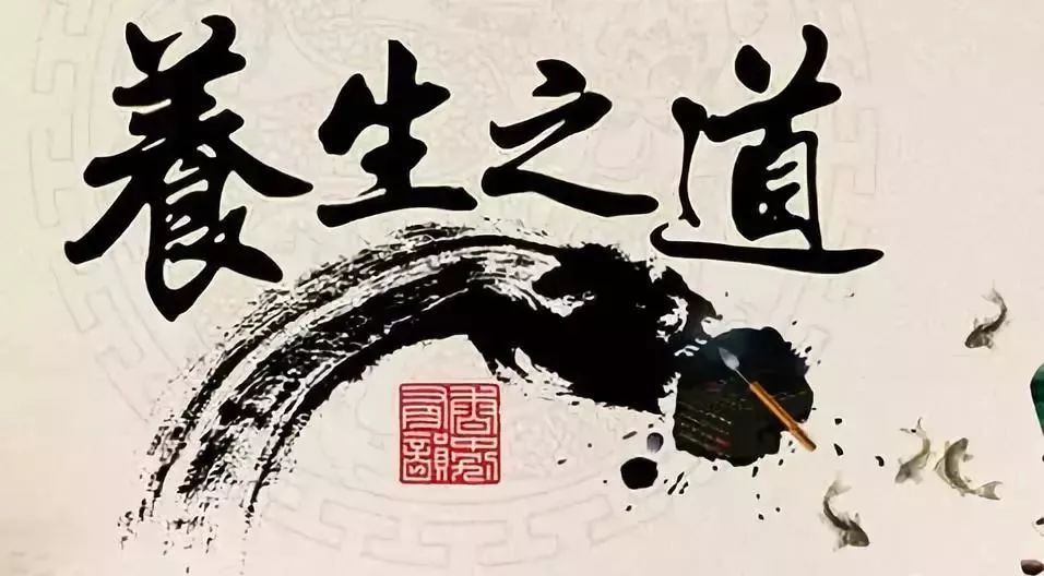 中医养生之道，探索传统智慧中的健康秘诀
