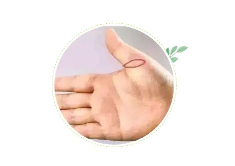 探索最佳养生方法，传统中医养生的精髓
