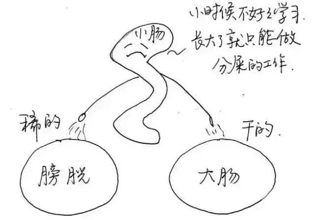 每日一学，中医养生之子午流注与健康作息