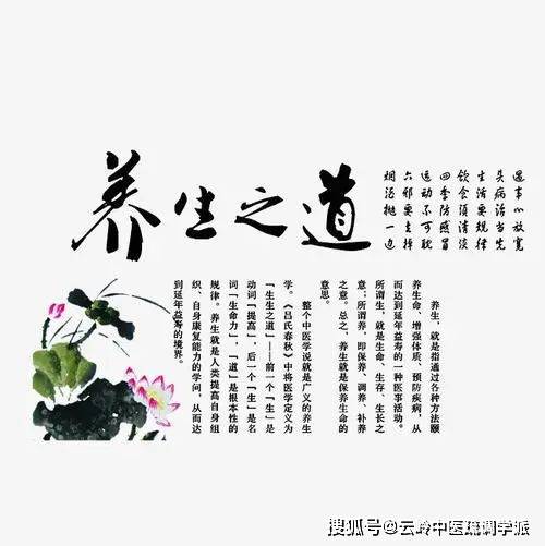 中医养生之道，健康养生心得分享