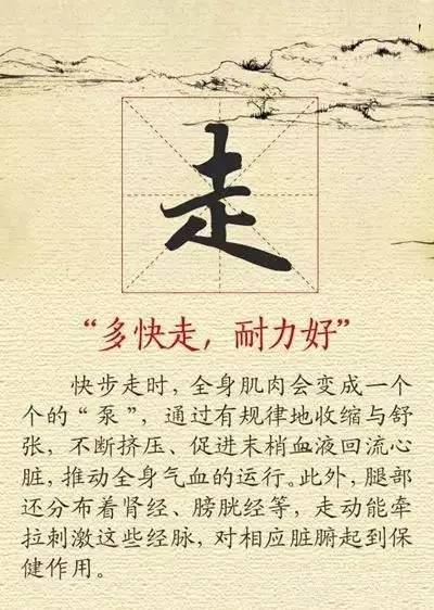 手指操养生百科，日常调理与健康维护的简易指南