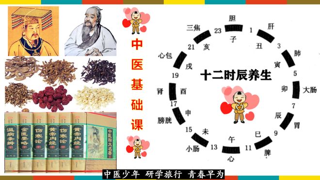 探索中医养生之道，传统与现代养生方式的融合