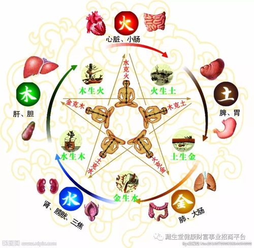 养生理疗知识大全，传统中医智慧与现代生活实践  第3张