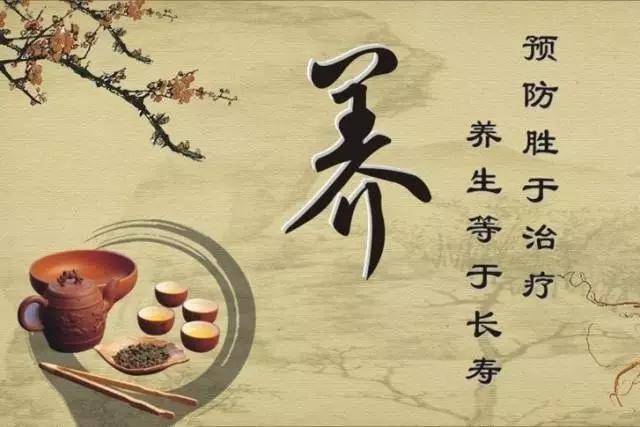 养生理疗养生健康课堂总结，传统智慧与现代生活的和谐共融