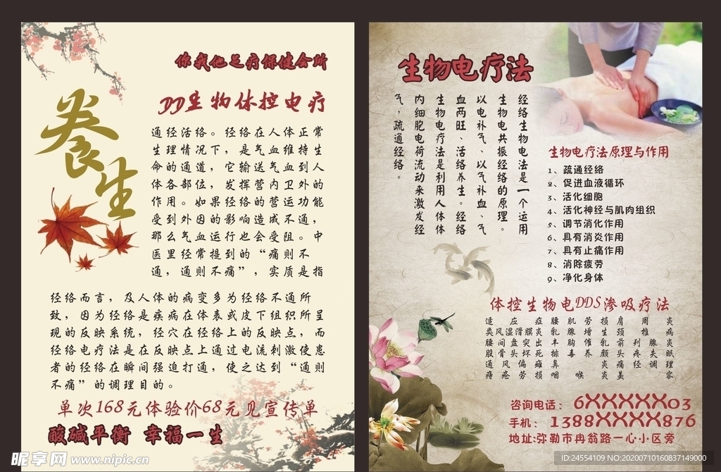 养生理疗养生健康课堂心得体会  第2张