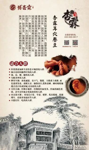 中医养生理疗，调和身心，延年益寿的古老智慧  第2张