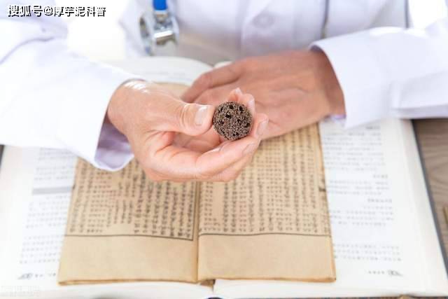 中医养生智慧，探索养生健康课程的奥秘
