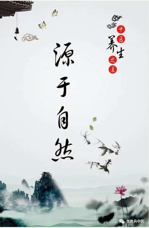 道教养生词语，探索古老智慧中的健康之道