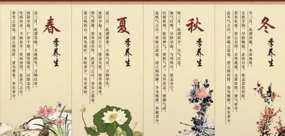 中医养生之道，调和阴阳，养身养心